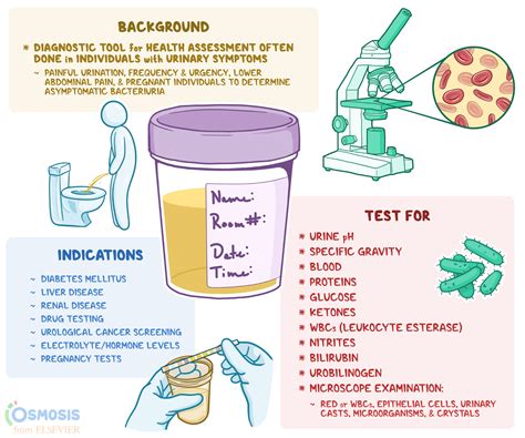 refractometer sop urinalysis|urinalysis specimen collection.